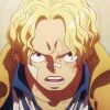 One Piece Episode 1117